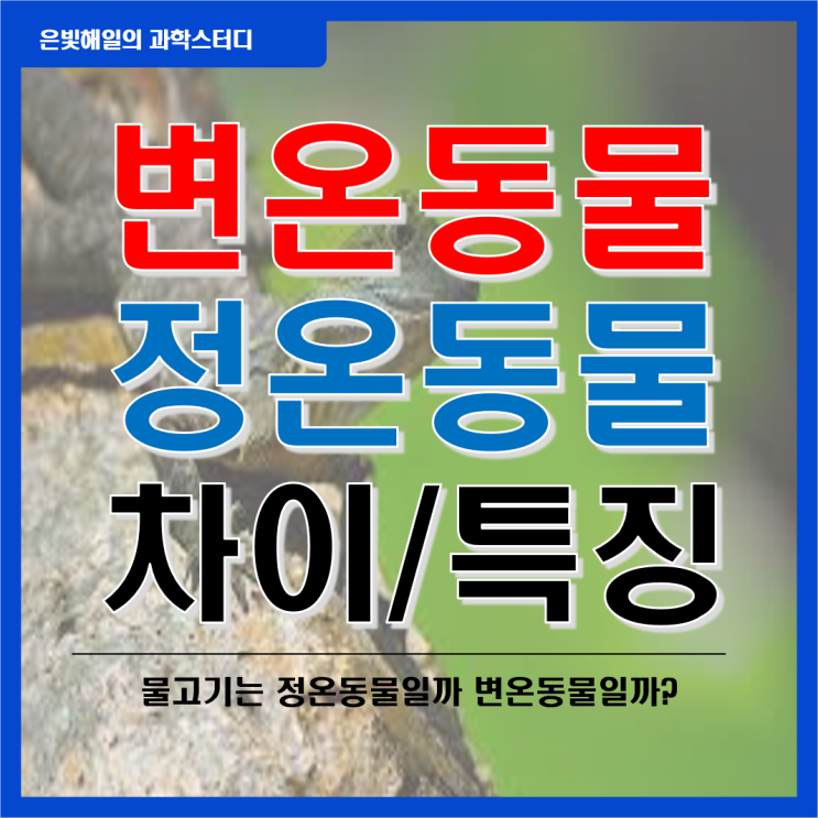  정온동물과 변온동물의 차이와 종류