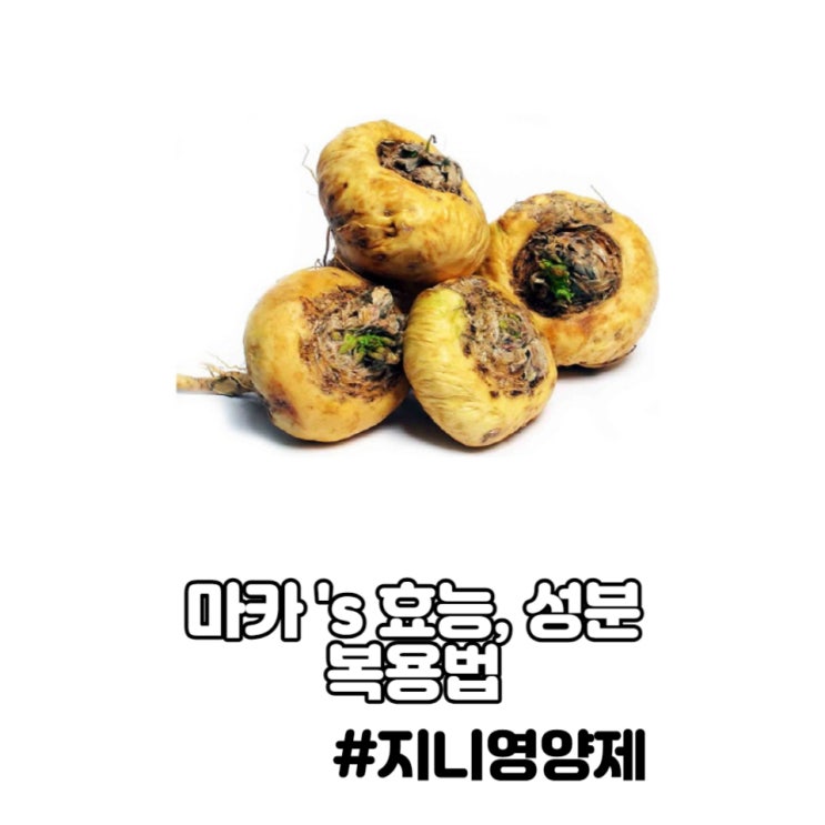 마카 효능 성분 생마카 복용법 마카 효능 성분 생마카 복용법