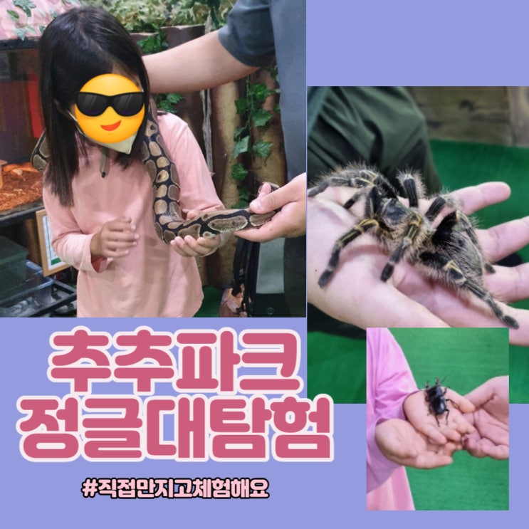  강원 태백 ㅣ 하이원 추추파크 Part3. 정글대탐험 - 동물을  직접 만져볼수있어 아이가 더 좋아해요!!