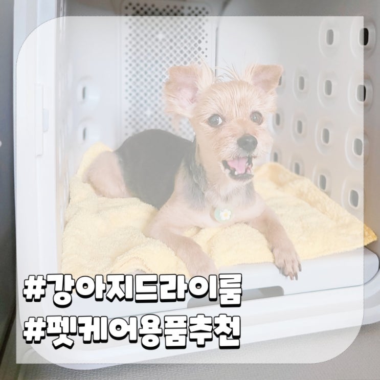  넬로 강아지 드라이룸 펫케어 추천 애견용품 한달 후기