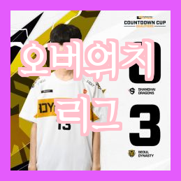  '메이플뉴스' 인터뷰 MSM에서 만난 오버워치 리그의 열혈팬이자 작가, 'daebakowl' 로렌 올슨