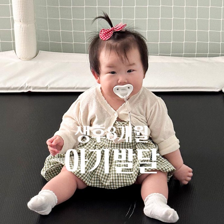  생후 8개월아기 발달 분유량 이유식양 간식 과일 공유