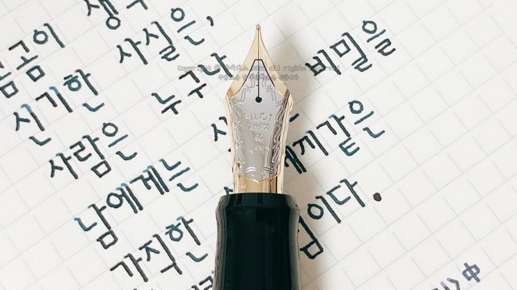  수수께끼 (파이롯트 커스텀 우루시 30호 FM닙 만년필로 필사하기)
