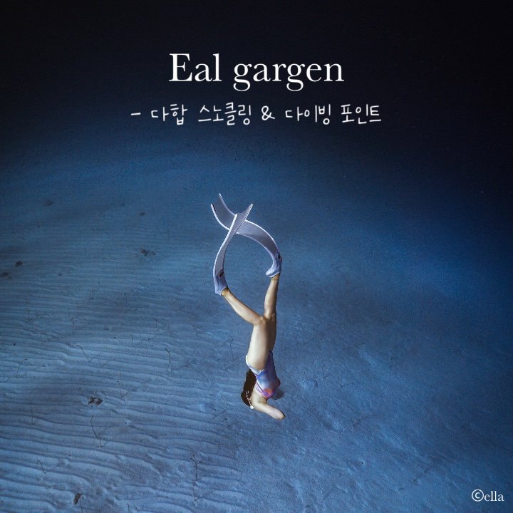  이집트 다합 스노클링 & 프리다이빙 포인트, 일가든(Eel garden)