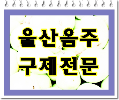  울산 음주운전 면허취소 기간과 벌금에 대한 중요 Tip