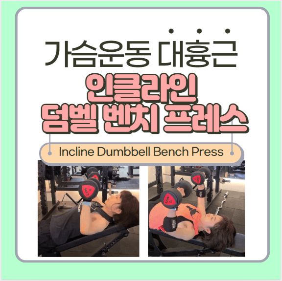  인클라인 덤벨 벤치 프레스 머신 각도 운동 방법 자세 주의사항 손목 팔꿈치 보호대, 대흉근 상완 삼두근 전면 삼각근