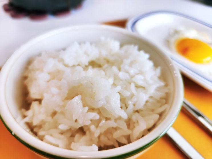  인생 밥맛 | 오뚜기 즉석밥 식감만족 4종 시식하기 , 그 중 내 최애 밥은?