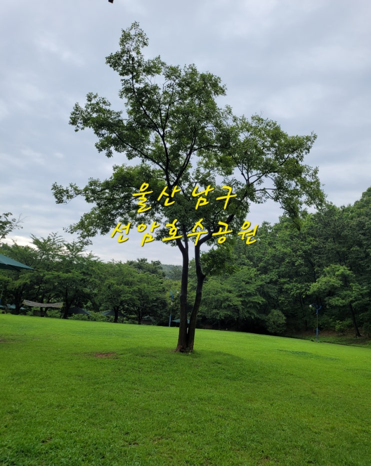  울산 남구 선암호수공원 흐린 주말 아침