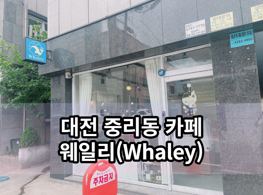 웨일리 사진 1