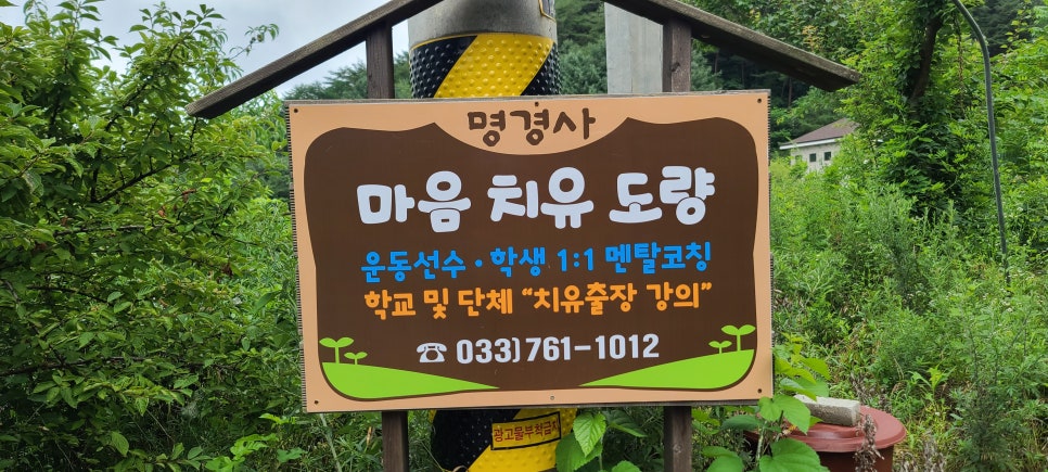 검은애산 사진 3