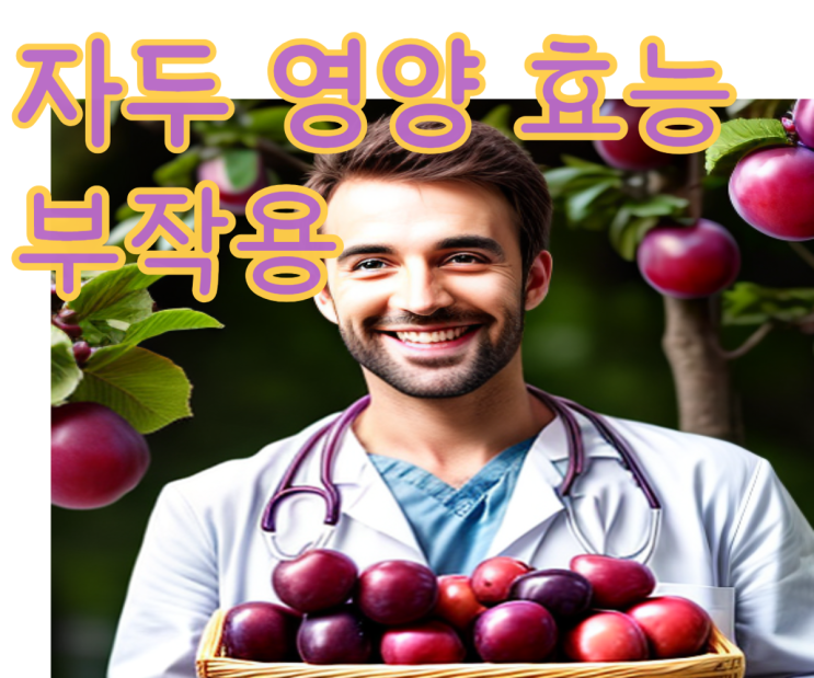 자두 효능 영양 칼로리 부작용과 맛있는 자두 고르는법 보관방법