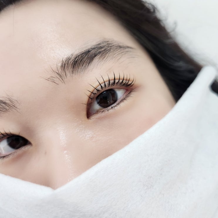  울산 북구 화봉동 속눈썹펌 ,노글루영양펌,블랙영양제