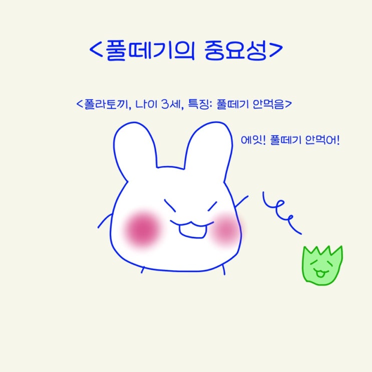  풀떼기를 안먹어?! (장내미생물, 식이섬유와 다이어트 연관성)
