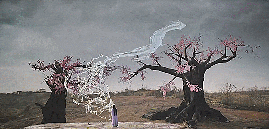  경세금린곡우래(倾世锦鳞谷雨来)