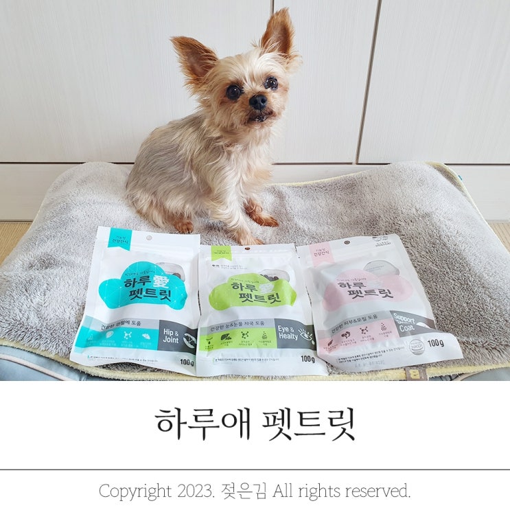 노령견 강아지간식 말랑말랑 하루애 펫트릿 가수분해간식 노령견 강아지간식 말랑말랑 하루애 펫트릿 가수분해간식
