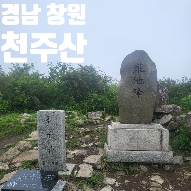  경남 창원 천주암 천주산 동네 크록스 등산 최단 코스 진달래 산림청 100대 명산 플러스