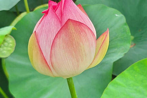 삼락상회 이미지