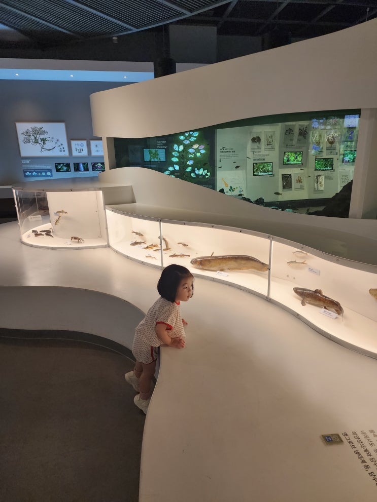 서울 아기랑 주말에 갈만한곳 서대문자연사박물관(공룡박물관)