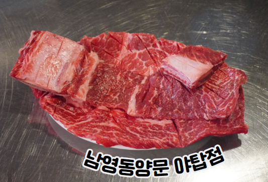 야탑맛집 추천 생소갈비전문점 남영동양문 야탑점