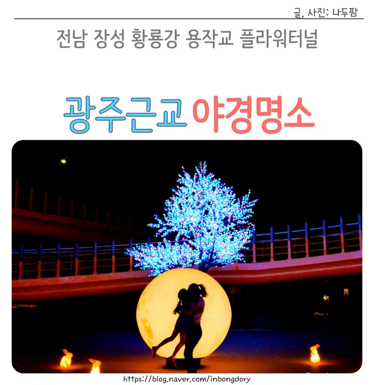 광주 근교 전남 장성 황룡강 용작교 플라워터널 야경 드라이브