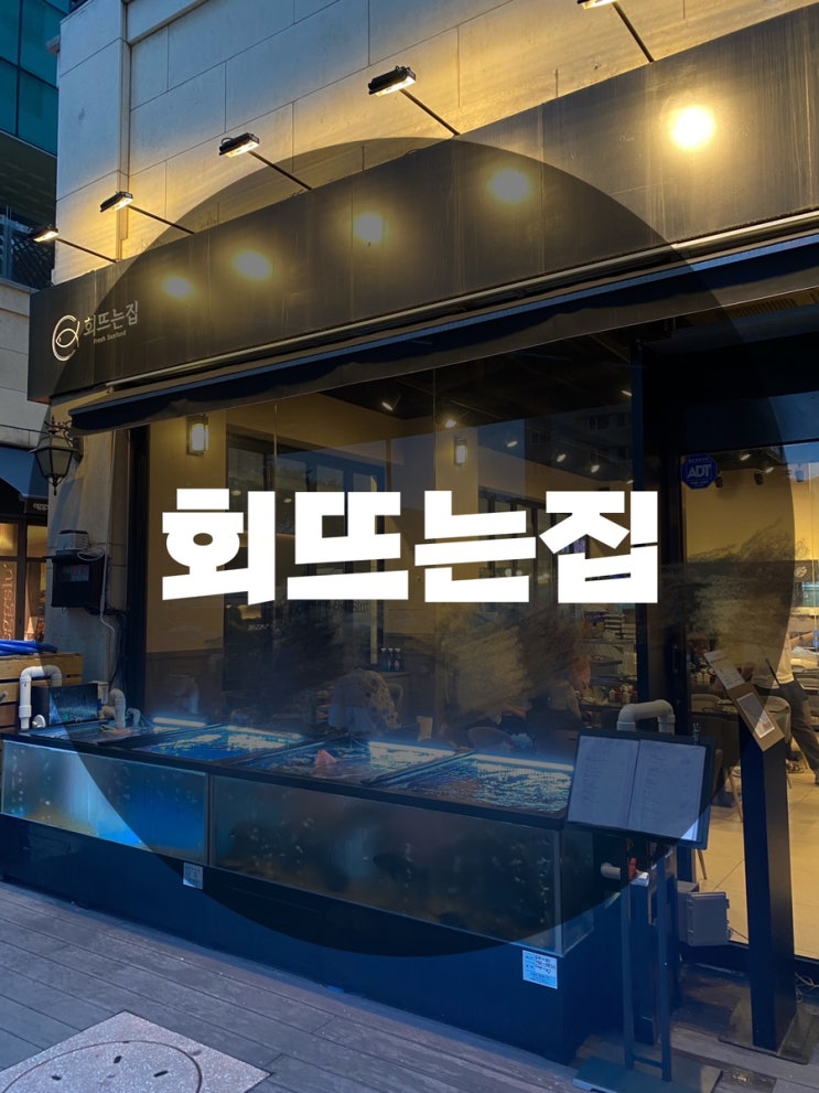  : 경기 성남시 정자동 : 정자동 엠코헤리츠 카페거리 활어회, 연포당 맛집 회뜨는집
