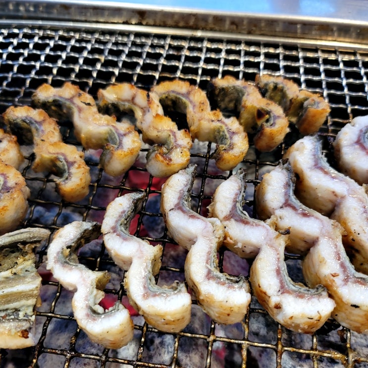  수원 장어 맛집 <영장어>