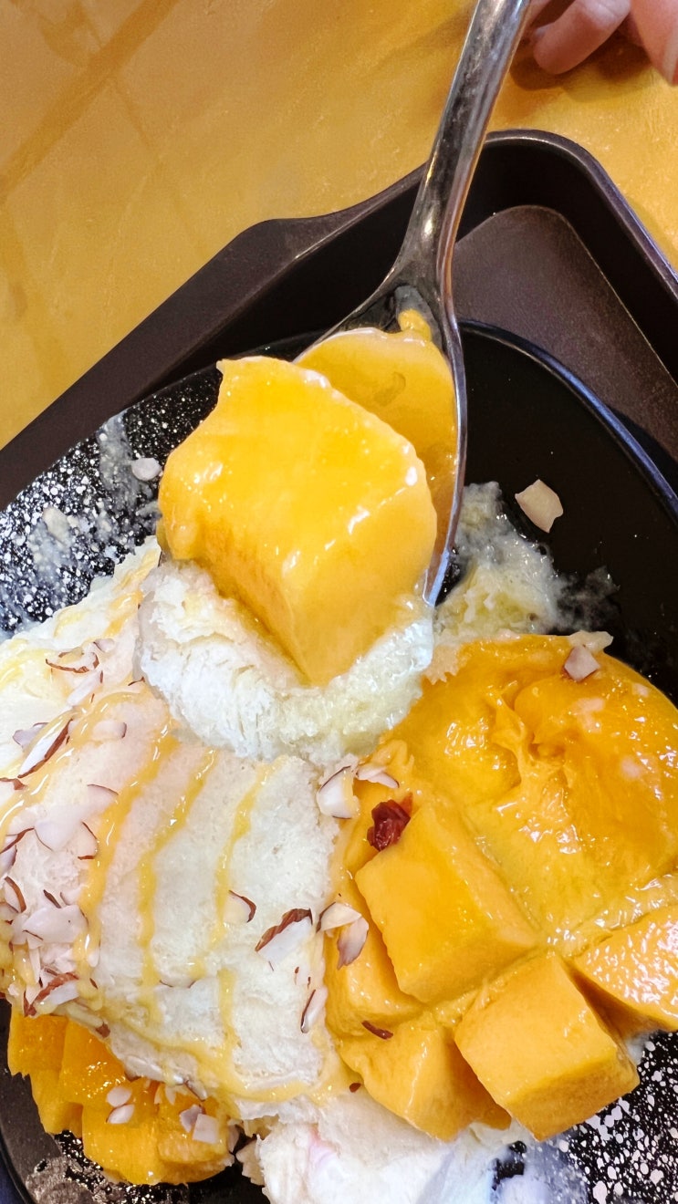  영종도 해물파전 칼국수,고양이가 있는 망고빙수 맛집