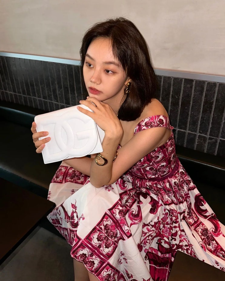 비글미 한가득 혜리의 돌체엔가바나 드레스 & 가방 How much? 비글미 한가득 혜리의 돌체엔가바나 드레스 & 가방 How much?