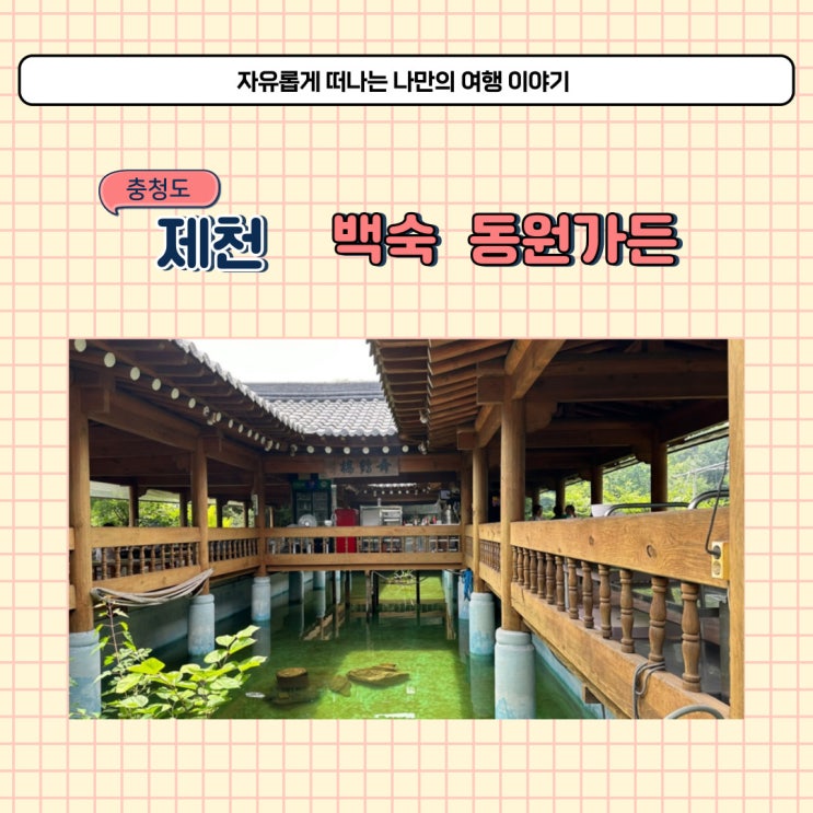  제천 계곡 백숙 맛집 동원가든 복날에 닭백숙 먹었어요