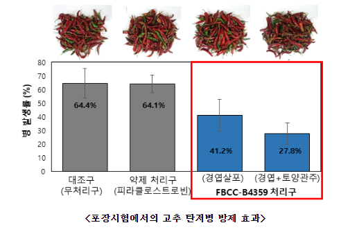 식물 탄저병 방제하는 담수 세균 발견 식물 탄저병 방제하는 담수 세균 발견