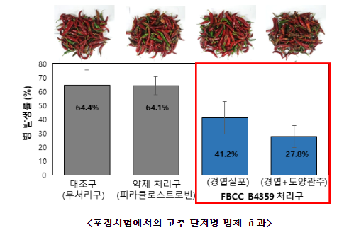 식물 탄저병 방제하는 담수 세균 발견