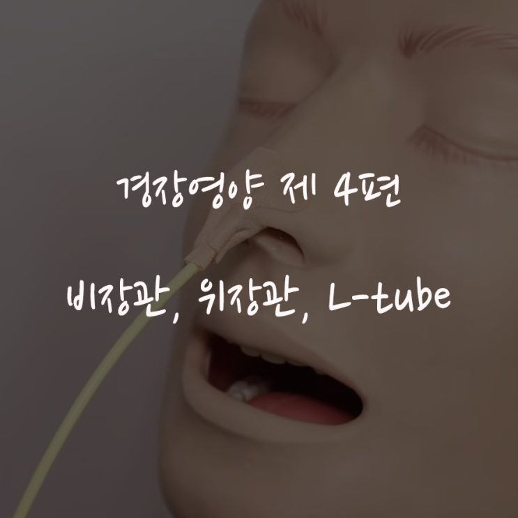 <b>경장</b>영양 제 4편 (비장관영양, 비위관영양, <b>경장</b>영양제, L-tube feeding, ....
