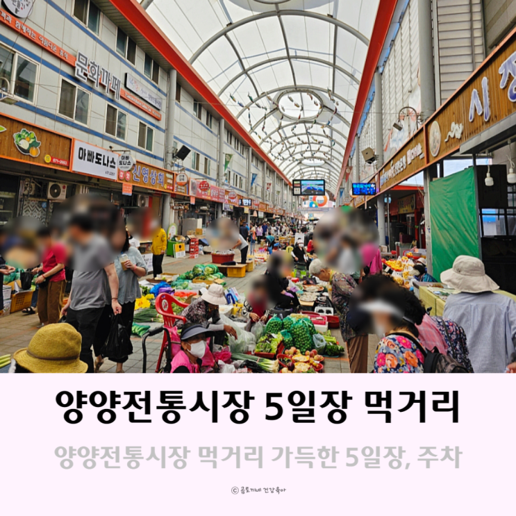 양양 전통시장 먹거리 가득한 5일장 추천품목, 주차 양양 전통시장 먹거리 가득한 5일장 추천품목, 주차