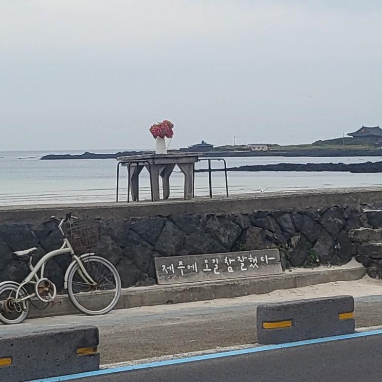  두 번째 혼제주-2박3일 제주 동쪽 힐링여행