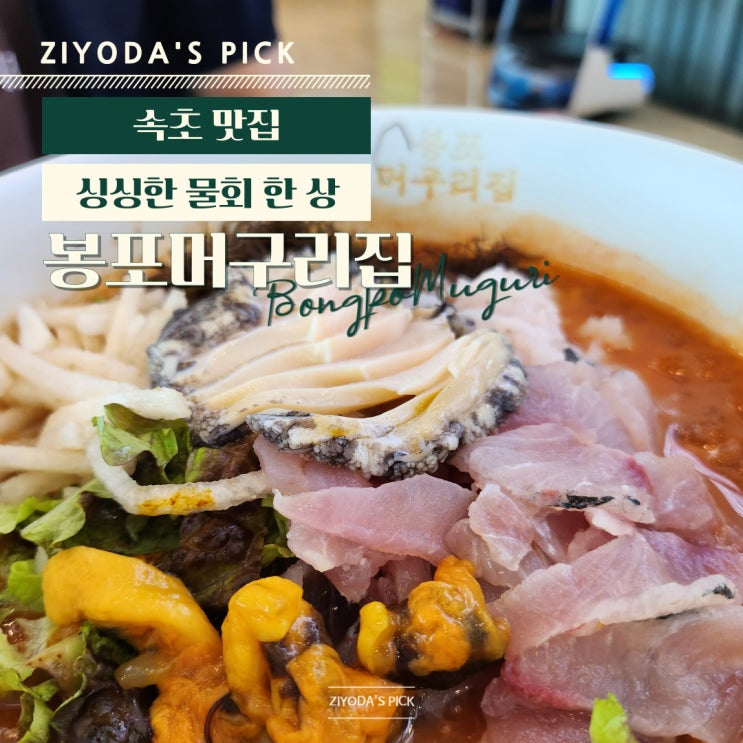  강원도/속초_물회 맛집 '봉포머구리집'