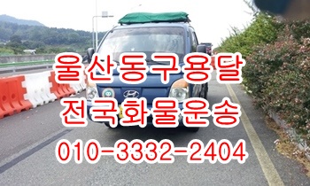 울산동구용달 방어진 주전 정자 강동 산하동 양남 울릉도. 울산동구용달 방어진 주전 정자 강동 산하동 양남 울릉도.