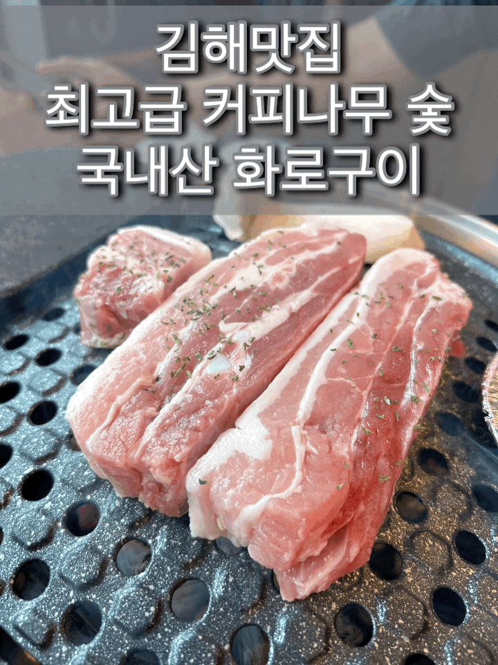  김해 삼정동 맛집 최상급 커피나무 숯 화로구이 전문점 윤고집