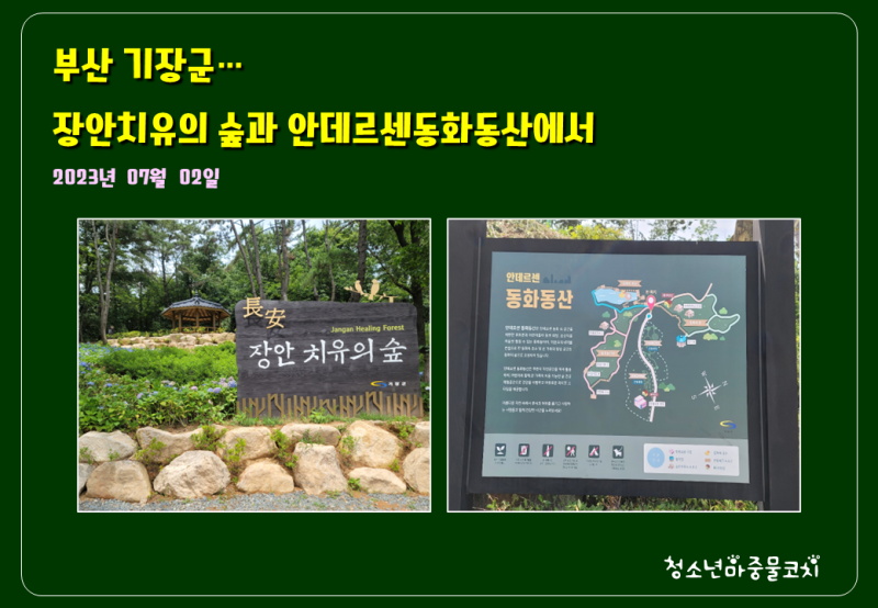 부산 기장에서 일요일 사용 _ 장안 치유의 숲, 안데르센동화공원