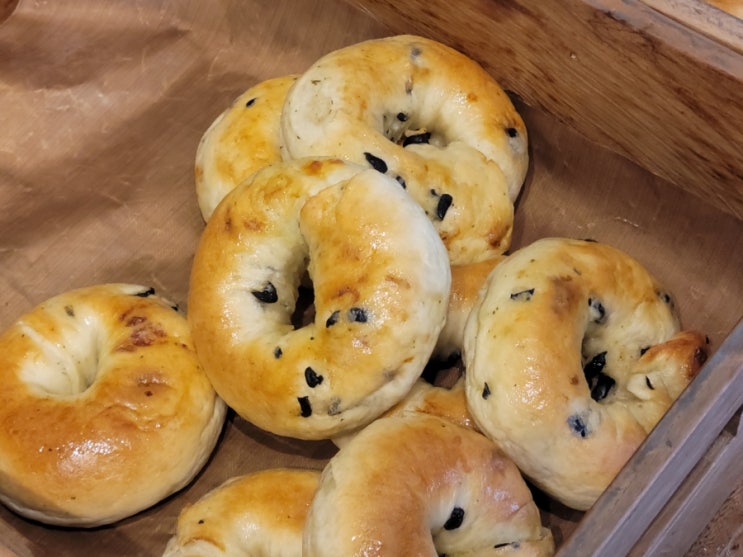  [역삼 점심] 역삼 베이글 맛집 로젯 베이글