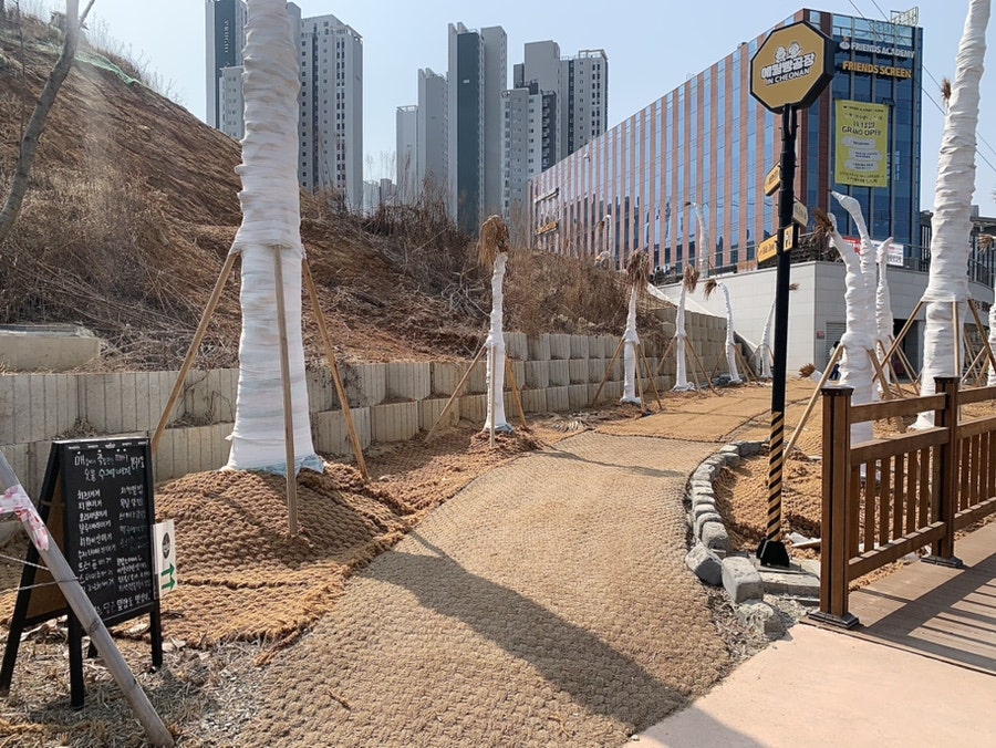 본구스또 사진 2