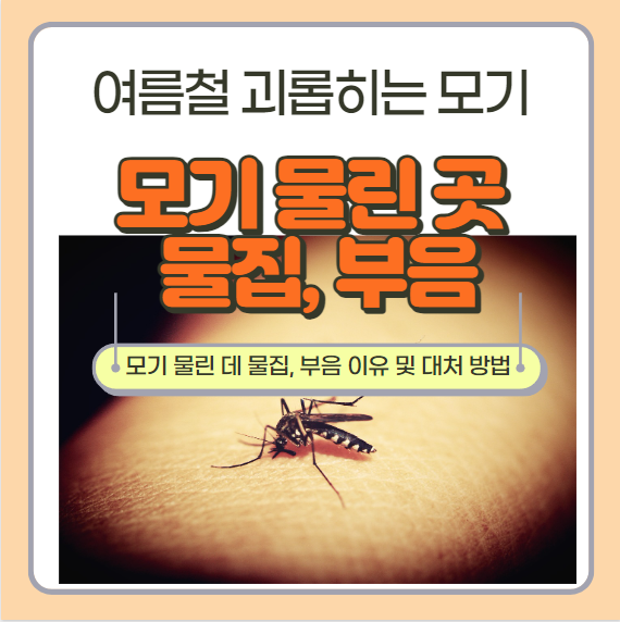  모기 물린 데 부음 모기 물린 곳 물집의 이유 및 대처 방법
