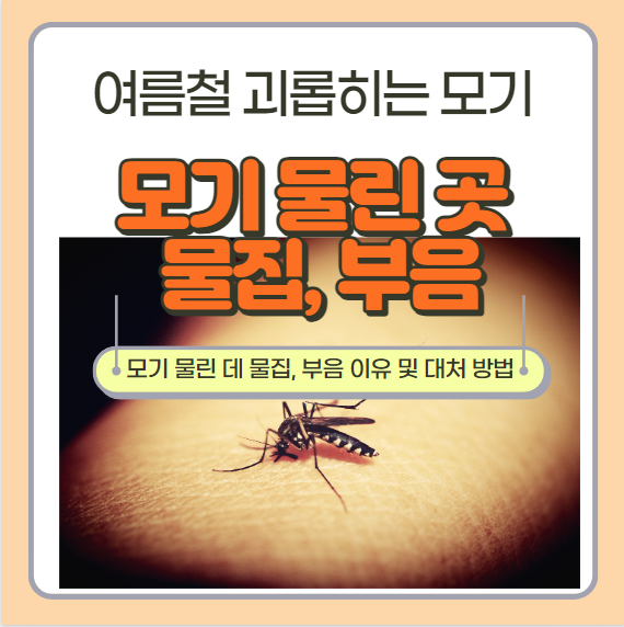 모기 물린 데 부음 모기 물린 곳 물집의 이유 및 대처 방법