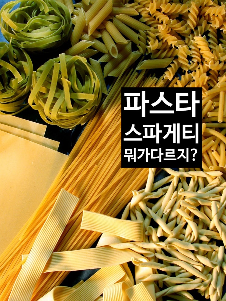  파스타와 스파게티 차이는?파스타의기원