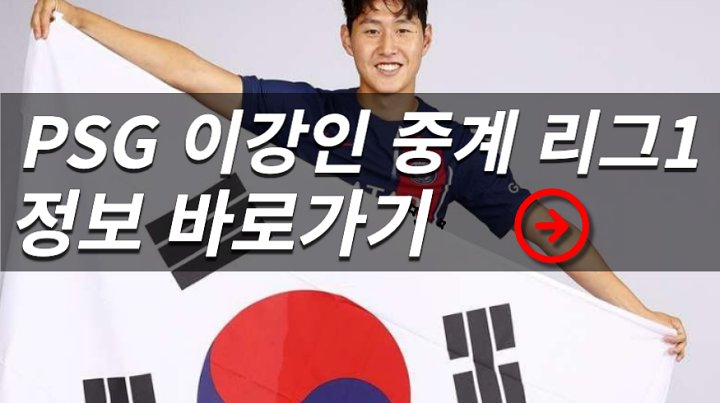 PSG <b>이강인</b> 중계 <b>리그</b>1 23-24시즌 감독 구단주 이적료 스쿼드... 