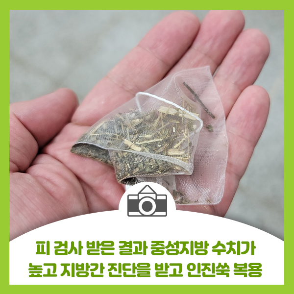  피 검사 받은 결과 중성지방 수치가 높고 지방간 진단을 받고 인진쑥 차 복용, 간에 좋은 약초 사철쑥
