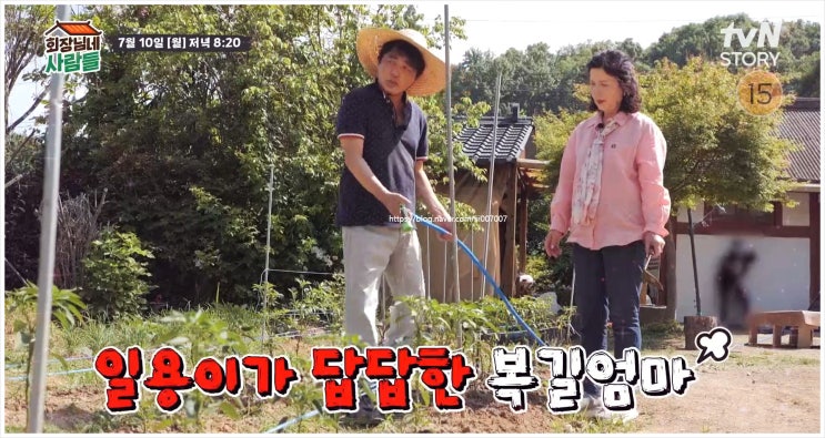 회장님네사람들 39회 김용건 김수미 이계인 임호 조하나 갯벌 체험 꽃 김밥 효도 관광 tvN STORY 금동 부부 사륜 바이크 조개잡이 내기 황보라 팔자 구멍