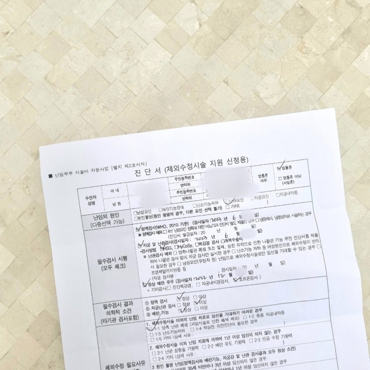 정부24 난임부부시술비지원 온라인 신청 후기 #법률혼