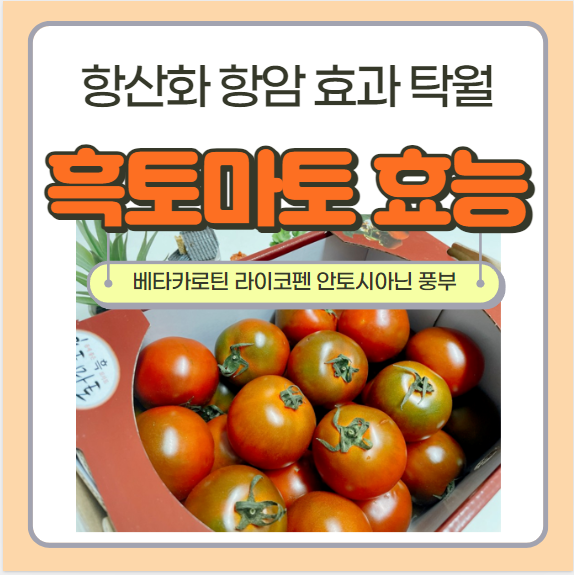 흑토마토 효능 및 부작용 - 흑토마토 맛있게 먹기 베이글 샌드위치