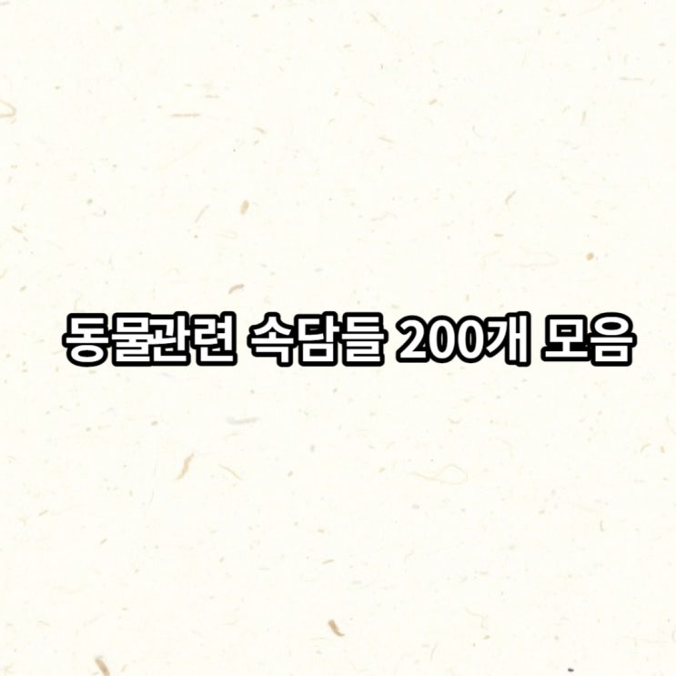  동물 관련 속담들 200개 모음