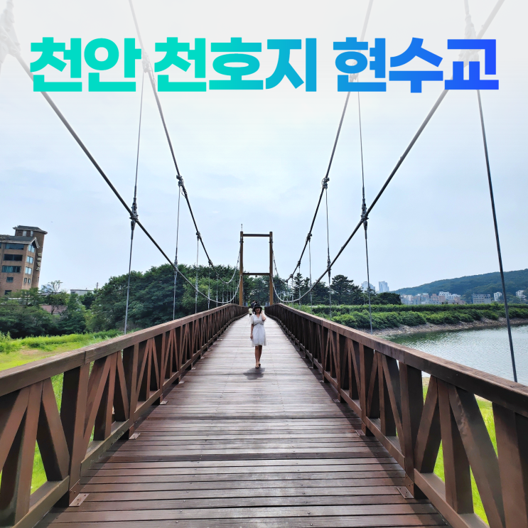 천안 천호지 현수교 시원한 단대호수 산책로 천안 천호지 현수교 시원한 단대호수 산책로